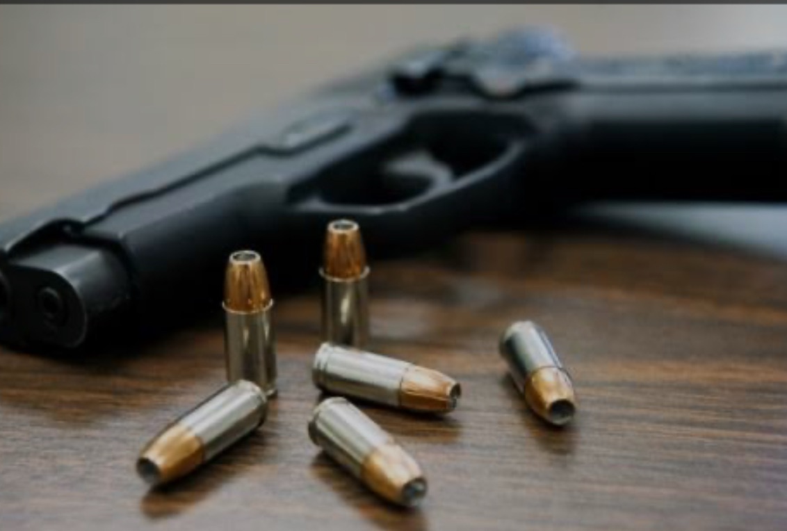 Governo estadual entrega 300 pistolas para a Guarda de Vila Velha