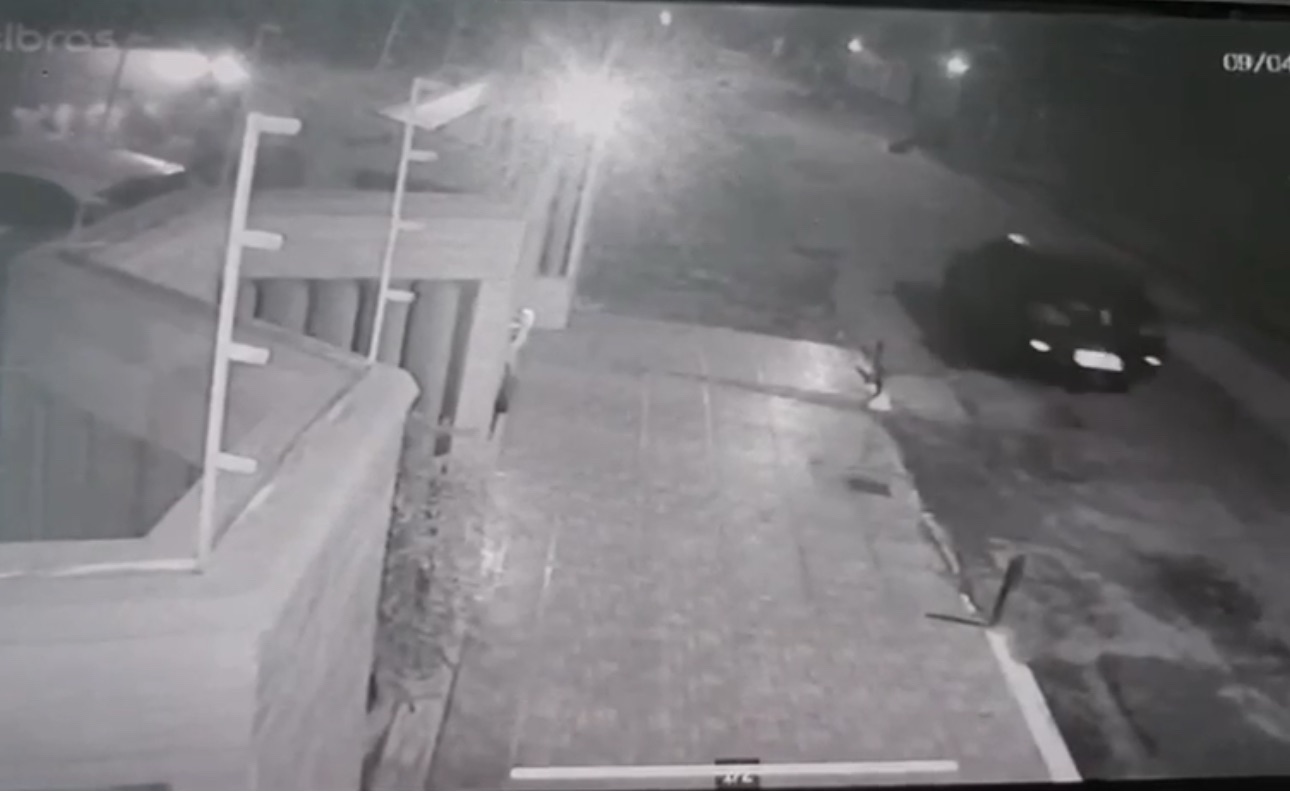 Motorista pode pegar “até 11 anos de prisão” por atropelar animais em Vila Velha