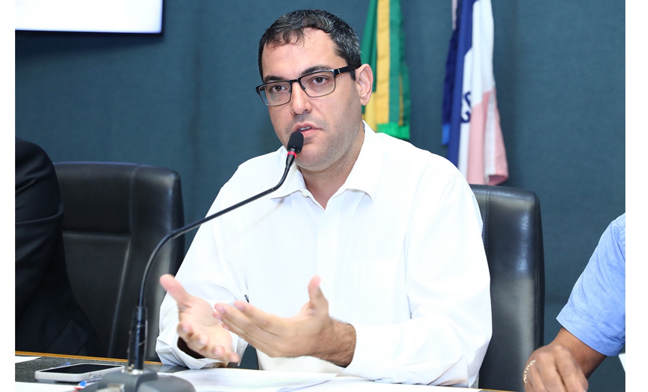 Projeto propõe proibição de cirurgias estéticas que mutilam animais domésticos