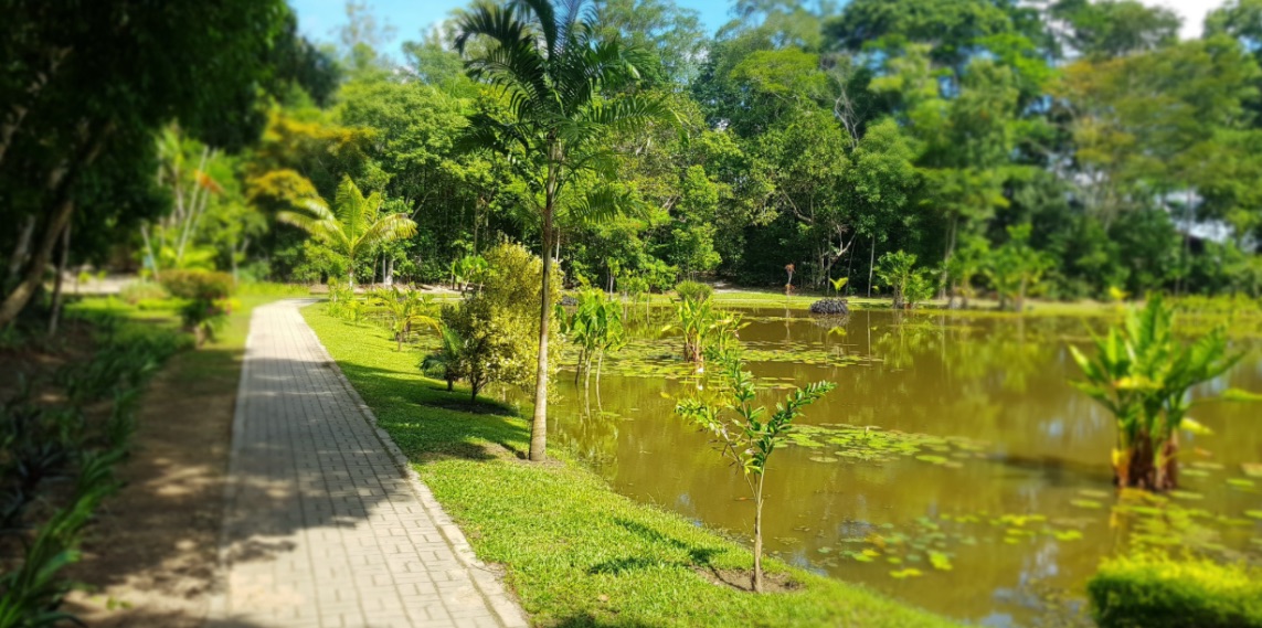 Reserva Natural Vale terá semana especial com atividades gratuitas em dezembro