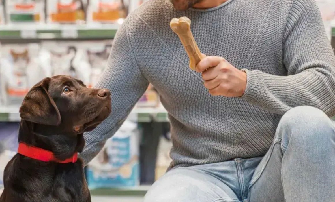 Espírito Santo registra avanço no mercado pet e lidera crescimento no Sudeste