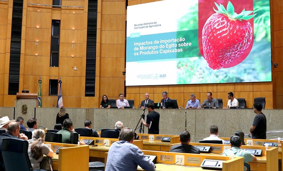 Importação de morango do Egito preocupa produtores do ES e mobiliza debate na Ales