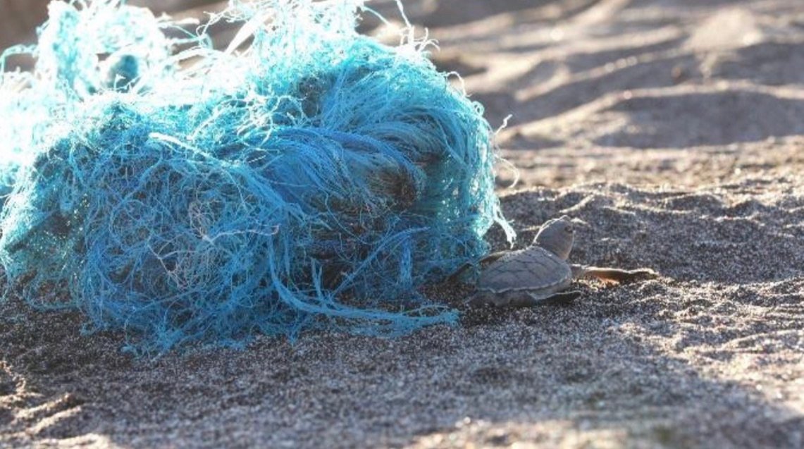 Documentário brasileiro sobre poluição plástica ganha página exclusiva no portal da UNESCO