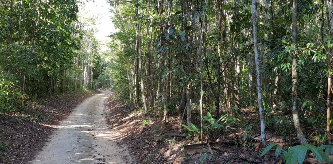 Reserva Natural Vale recebe 8ª edição da Meia Maratona do Verde e das Águas em Linhares