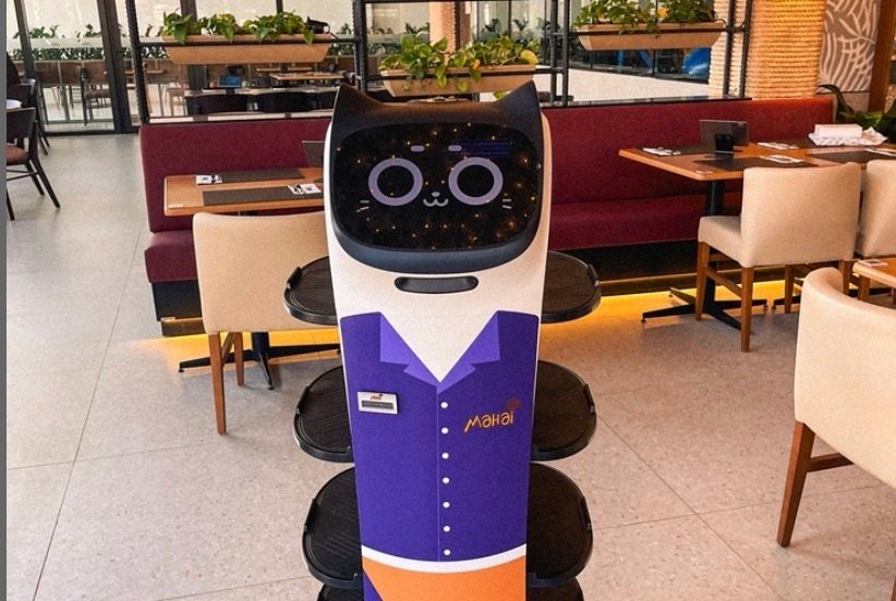 Robô-garçom já faz parte da rotina de restaurante na Serra e mostra avanço da automação