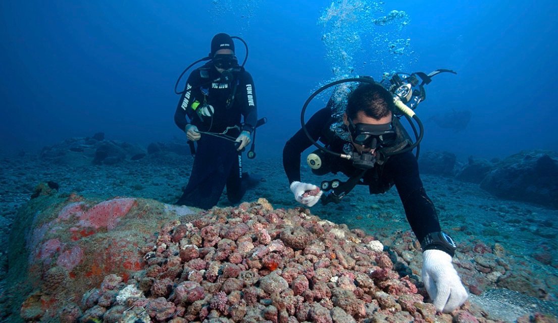 Estudo com participação de pesquisador capixaba ganha destaque na revista Science