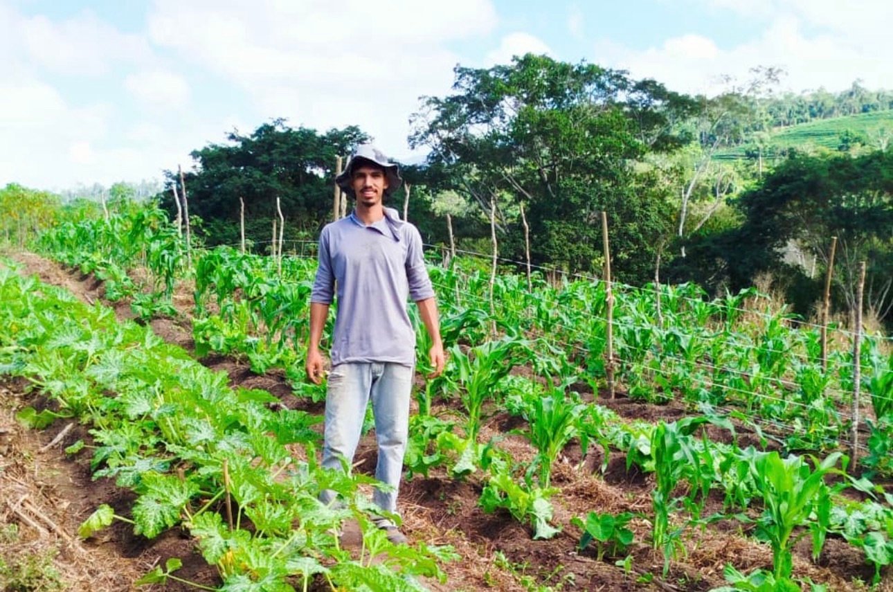 Herança verde: novas gerações impulsionam cafeicultura sustentável no ES