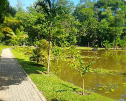 Reserva Natural Vale terá semana especial com atividades gratuitas em dezembro