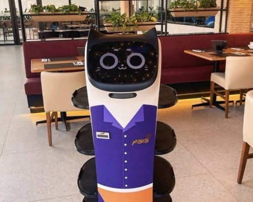 Robô-garçom já faz parte da rotina de restaurante na Serra e mostra avanço da automação