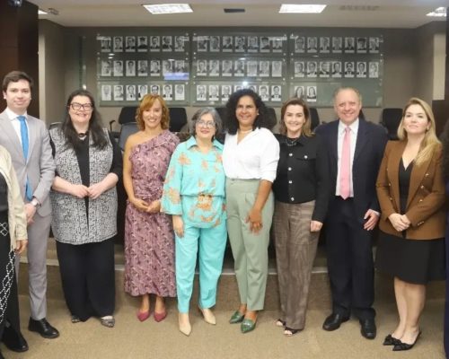 TCE-ES defende orçamento público como ferramenta no combate à violência contra mulheres