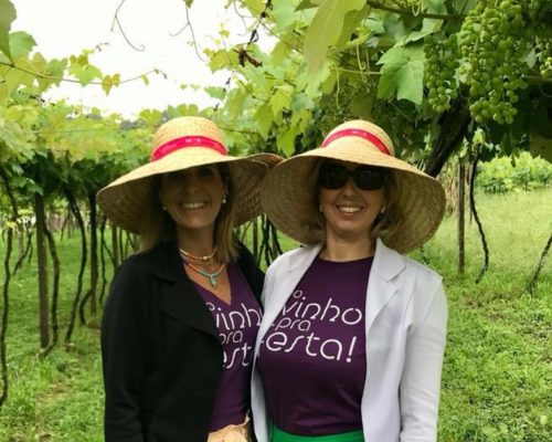 Capixabas produzem vinho autoral na Serra Gaúcha e lançam em jantar em Pedra Azul