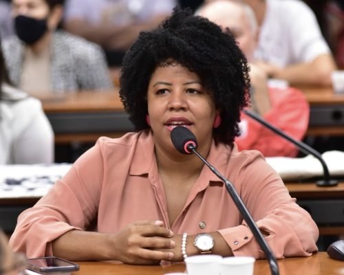 Deputada alerta para impactos de barreiras econômicas sobre pequenos negócios do ES