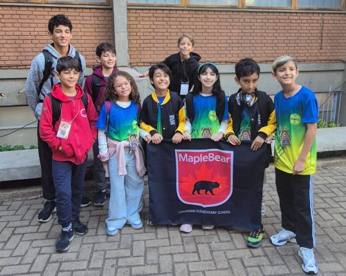 Alunos capixabas conquistam medalhas em olimpíada internacional de matemática