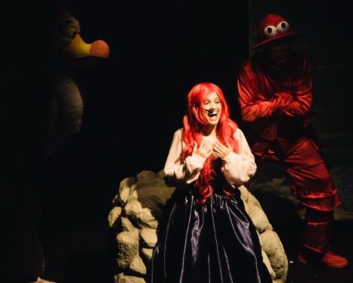 Musical “A Pequena Sereia” chega a Vitória com duas apresentações no Teatro do Sesi