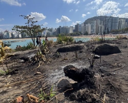 Vegetação queimada e lixo chamam atenção na Pedra da Sereia, em Vila Velha