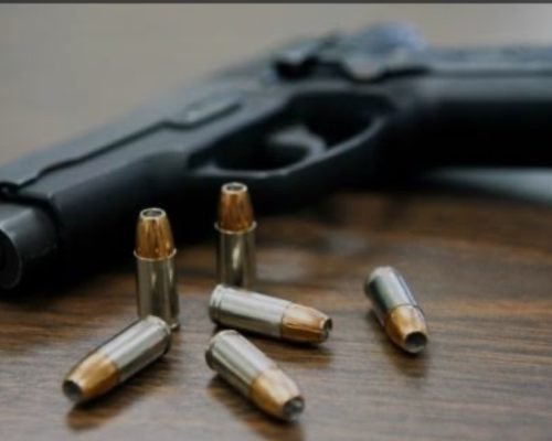 Governo estadual entrega 300 pistolas para a Guarda de Vila Velha