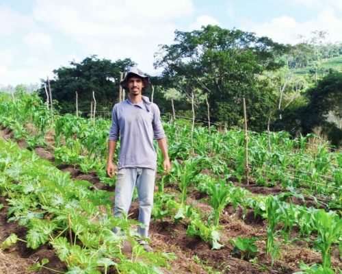 Herança verde: novas gerações impulsionam cafeicultura sustentável no ES