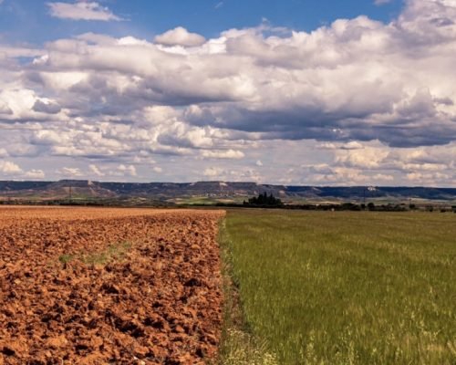 Plano Safra amplia recursos para investimentos e fortalece oportunidades em irrigação