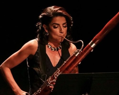 Orquestra Sinfônica do ES faz concerto gratuito no Parque Botânico da Vale