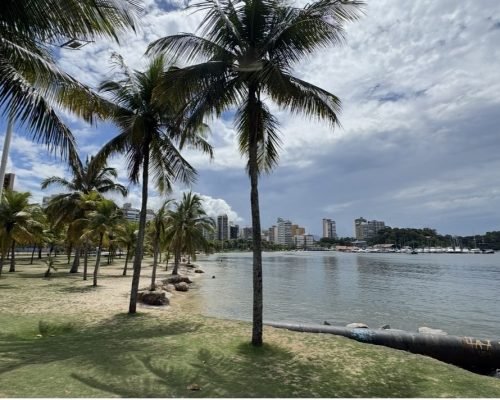 Três bairros concentram quase 70% das buscas por imóveis em Vitória