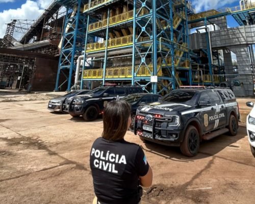 Polícia realiza incineração recorde de drogas em Linhares: mais de 600 kg