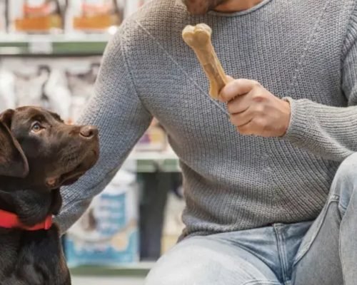 Espírito Santo registra avanço no mercado pet e lidera crescimento no Sudeste