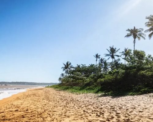 Turismo capixaba avança, bate recorde e já soma mais de 74 mil empresas no setor