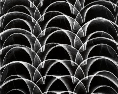 Casa do Governador inaugura recorte da mostra “Moderna para Sempre” nesta quarta (5)