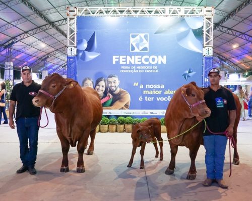 Fenecon 2025 promete movimentar o sul do Estado com negócios, agroturismo e cultura