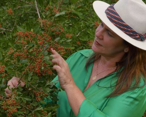 Produtora capixaba que fornece para a Natura anuncia produto inédito no Brasil