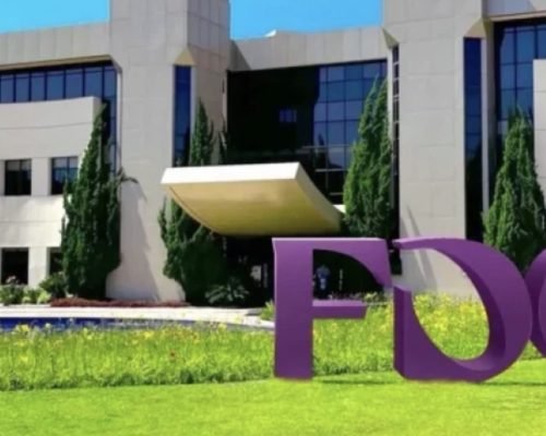 Parceria aproxima startups capixabas de investidores e fortalece ambiente de inovação no ES