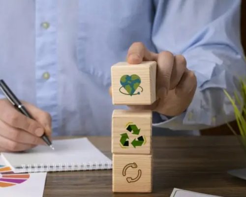 As lições de empreendedores capixabas que crescem com responsabilidade ambiental