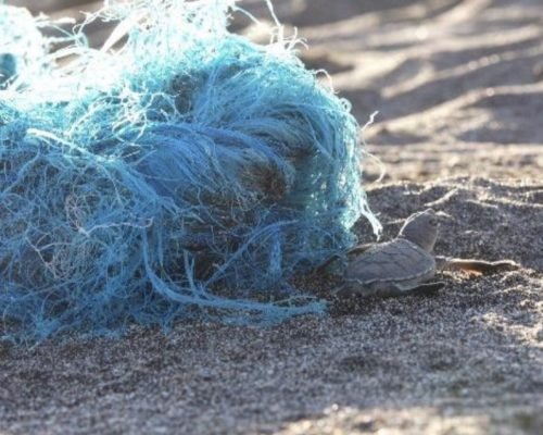 Documentário brasileiro sobre poluição plástica ganha página exclusiva no portal da UNESCO