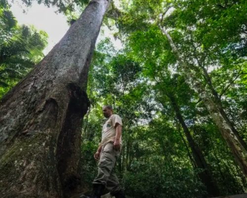 Espírito Santo sedia seminário nacional sobre Unidades de Conservação com foco na Mata Atlântica