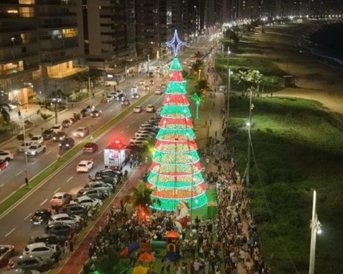 Iluminação de árvores gigantes marca início do Natal em Vila Velha