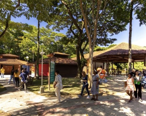 Museu promove programação gratuita em Vitória durante a Semana Nacional de Museus